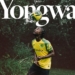 Mercato : Darlin Yongwa rejoint Norwich City