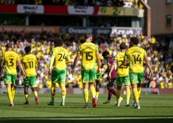 norwich city perd contre bolton